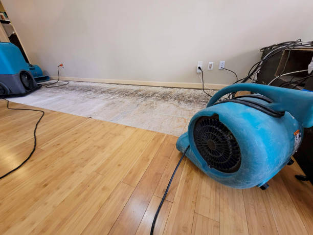 Professional Water Damage Repair technician working in Copake, NY
